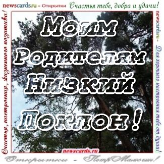 Родителям низкий поклон